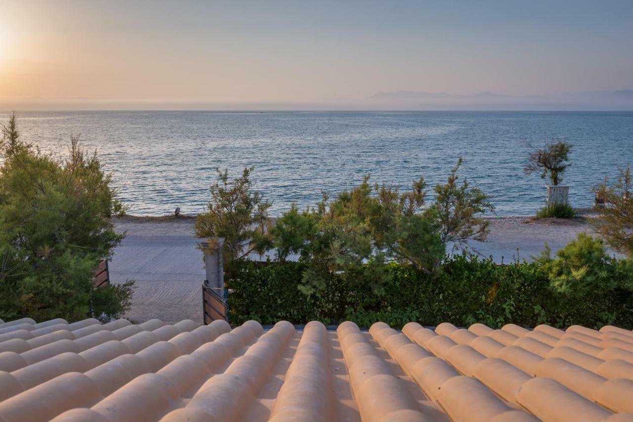 Tamaris Beach House Acharavi  Zewnętrze zdjęcie