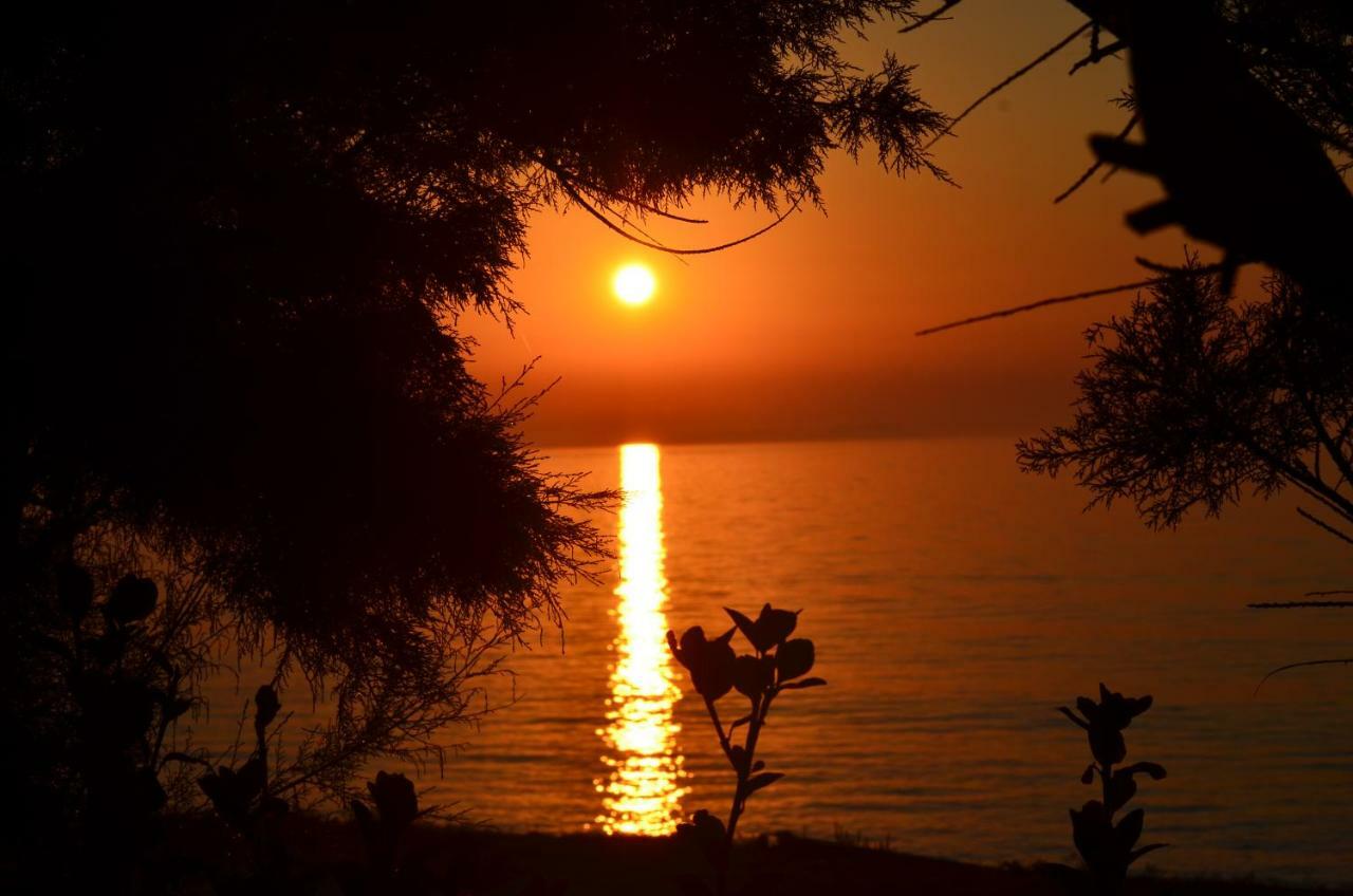 Tamaris Beach House Acharavi  Zewnętrze zdjęcie
